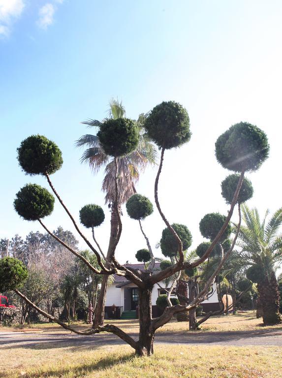 Thai Story Seogwipo Exterior foto